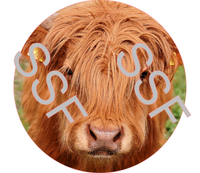 Highland Cow Digital Cardstock Cutouts