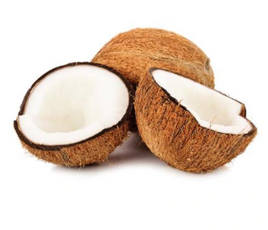 Coconut Leather Fragrance Oil