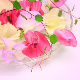 Sweet Peas in a Pod Fragrance Oil