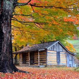 Cozy Cabin Fragrance Oil