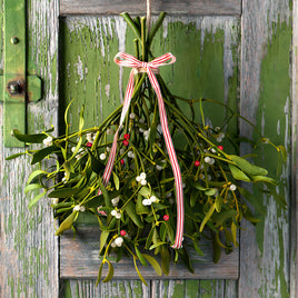 Mistletoe Fragrance Oil